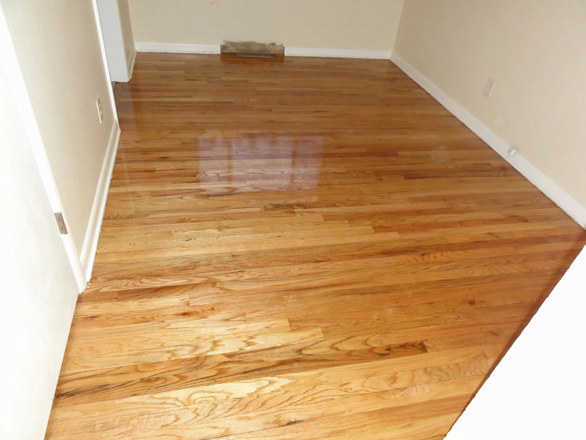 Freshly finished oak floor in a bright room with a soft sheen along the baseboards